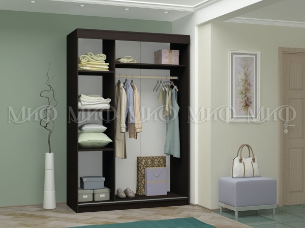 Шкаф-Купе Люмьер-2 с Рисунком (Ш-1500 × В-2216 × Г-610 мм)/Разные Цвета